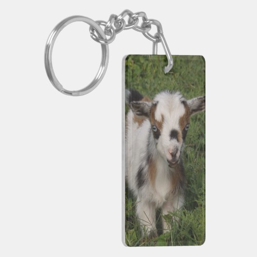 Flashy Nigerian Dwarf Dairy Goat Kind Sleutelhanger (Voorkant Links)