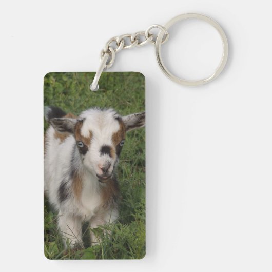 Flashy Nigerian Dwarf Dairy Goat Kind Sleutelhanger (achterkant)