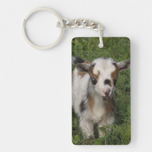 Flashy Nigerian Dwarf Dairy Goat Kind Sleutelhanger