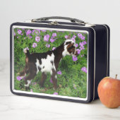 Flashy Nigerian Dwarf Goat Kind in paarse bloemen (In situ)