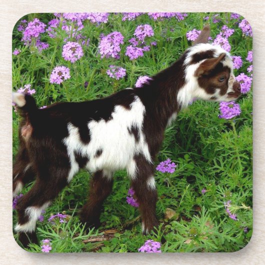 Flashy Nigerian Dwarf Goat Kind in paarse bloemen Bier Onderzetter (Voorkant)