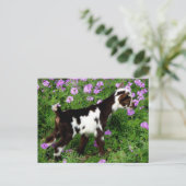 Flashy Nigerian Dwarf Goat Kind in paarse bloemen Briefkaart (Staand voorkant)