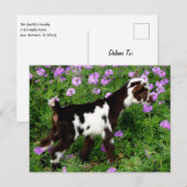 Flashy Nigerian Dwarf Goat Kind in paarse bloemen Briefkaart (Voorkant / Achterkant)