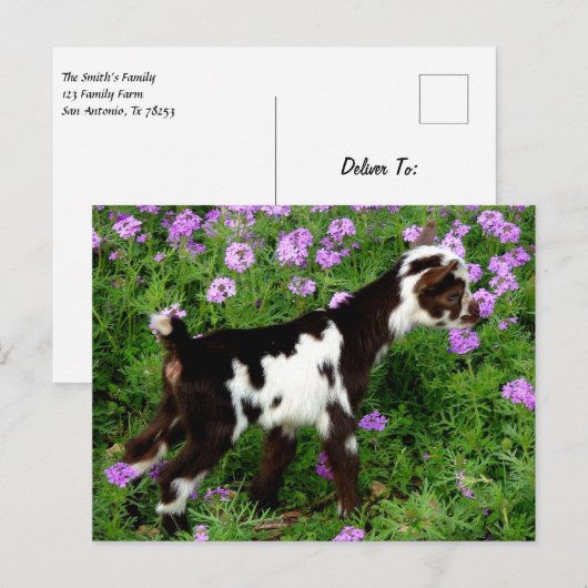 Flashy Nigerian Dwarf Goat Kind in paarse bloemen Briefkaart (Voorkant / Achterkant)