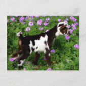Flashy Nigerian Dwarf Goat Kind in paarse bloemen Briefkaart (Voorkant)