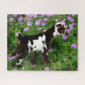 Flashy Nigerian Dwarf Goat Kind in paarse bloemen Legpuzzel (Horizontaal)