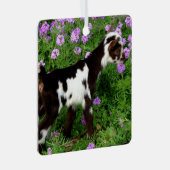 Flashy Nigerian Dwarf Goat Kind in paarse bloemen Metalen Ornament (Voorkant Rechts)