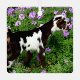 Flashy Nigerian Dwarf Goat Kind in paarse bloemen Metalen Ornament