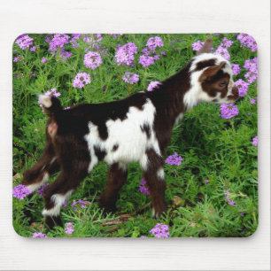 Flashy Nigerian Dwarf Goat Kind in paarse bloemen Muismat