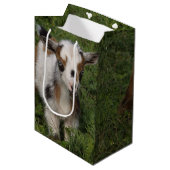 Flashy Nigerian Dwarf Goat Kind Medium Cadeauzakje (Voorkant Gekanteld)