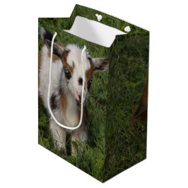 Flashy Nigerian Dwarf Goat Kind Medium Cadeauzakje