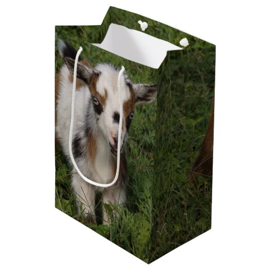 Flashy Nigerian Dwarf Goat Kind Medium Cadeauzakje (Voorkant Gekanteld)