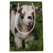 Flashy Nigerian Dwarf Goat Kind Medium Cadeauzakje (Voorkant)