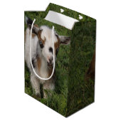 Flashy Nigerian Dwarf Goat Kind Medium Cadeauzakje (Achterkant Gekanteld)