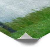 Flashy Paint Horse Mare Poster (Hoek)