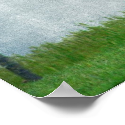 Flashy Paint Horse Mare Poster (Hoek)