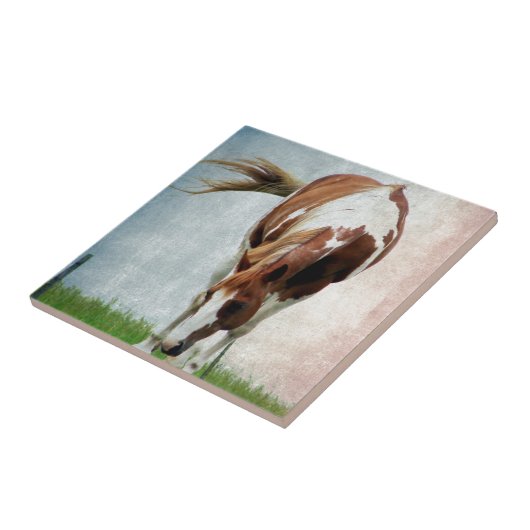 Flashy Paint Horse Mare Tegeltje (Zijkant)