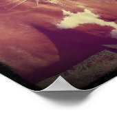 Flashy Poster (Hoek)