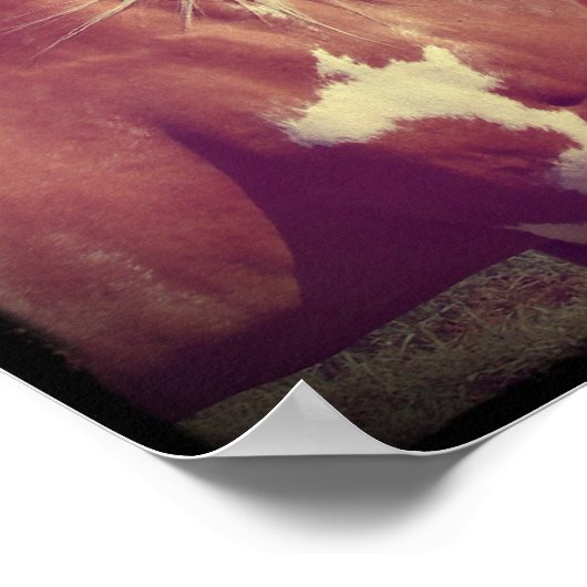 Flashy Poster (Hoek)