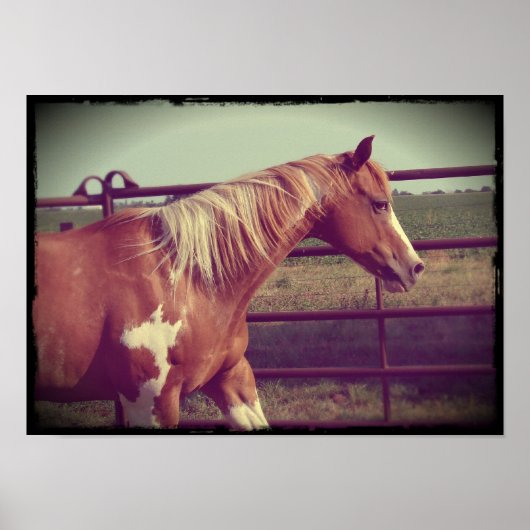 Flashy Poster (Voorkant)