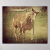 Flashy Shakes Head Poster (Voorkant)