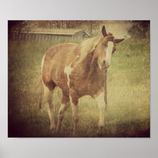 Flashy Shakes Head Poster (Voorkant)