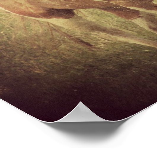 Flashy Shakes Head Poster (Hoek)