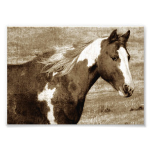 Flashy Tobinano Mare Sepia Foto Afdruk