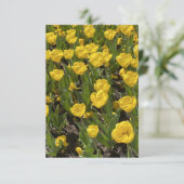 Flat Blank Kaart - Mooie Tulpen Bowral (Staand voorkant)
