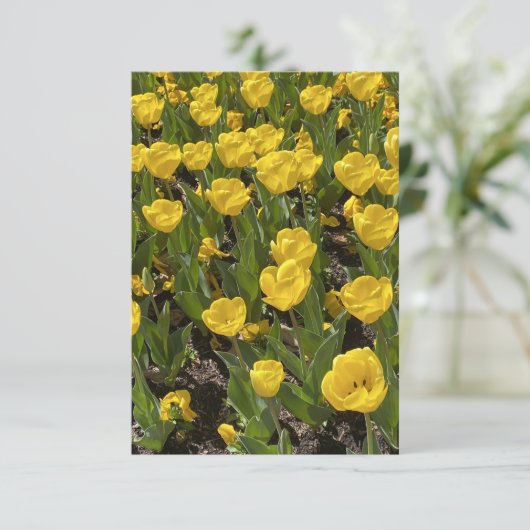 Flat Blank Kaart - Mooie Tulpen Bowral (Staand voorkant)