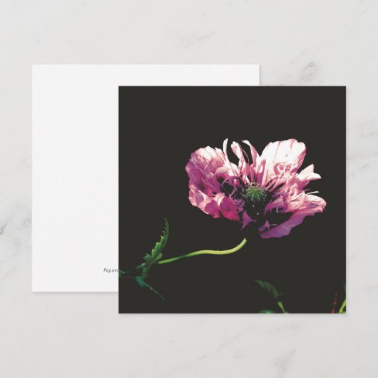 Flat Card (Voorkant / Achterkant)