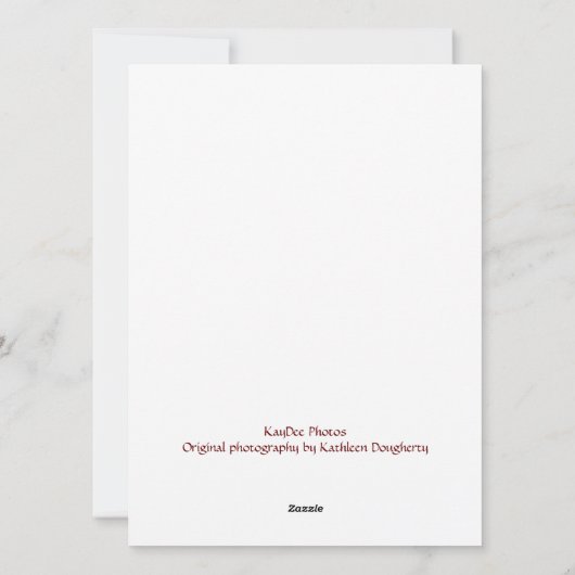 Flat Cavalier King Charles Puppy Christmas-Kaart Feestdagenkaart (Achterkant)