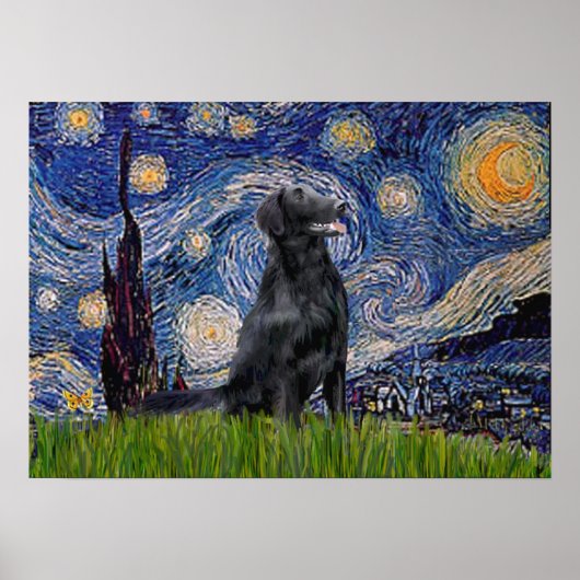 Flat Coated Retriever 1 - Sterrennacht Poster (Voorkant)