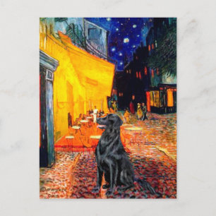 Flat Coated Retriever 1 - Terras Cafe Briefkaart