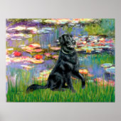 Flat Coated Retriever 2 - Lilies 2 Poster (Voorkant)