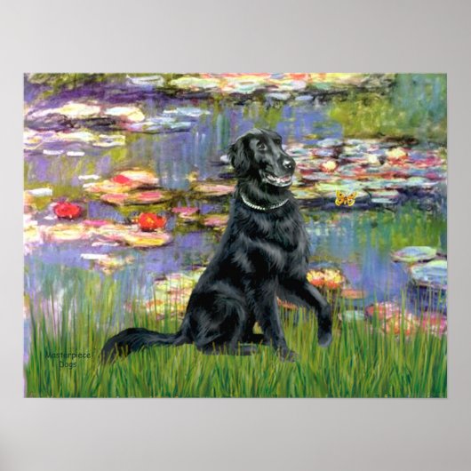 Flat Coated Retriever 2 - Lilies 2 Poster (Voorkant)