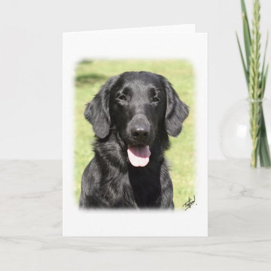 Flat Coated Retriever 9Y040D-040 Kaart (Voorkant)