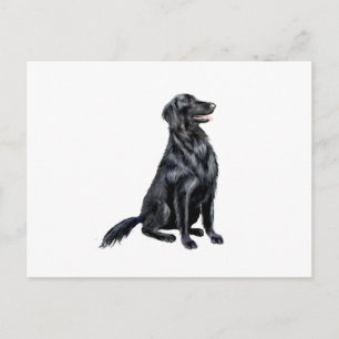 Flat Coated Retriever (B) Briefkaart