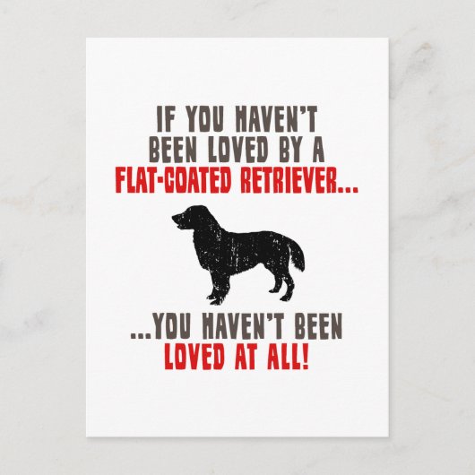 Flat-Coated Retriever Briefkaart (Voorkant)