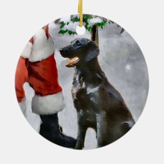 Flat-Coated Retriever Christmas Gifts Ornament (Achterkant)