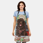 Flat-Coated Retriever Kerstbakken: Kerstmis Schort (Gedragen)