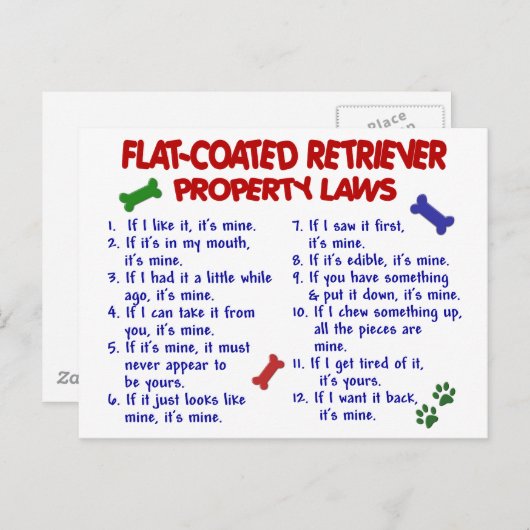 FLAT COATED RETRIEVER Property Wetten 2 Briefkaart (Voorkant / Achterkant)