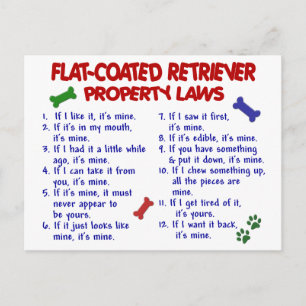 FLAT COATED RETRIEVER Property Wetten 2 Briefkaart