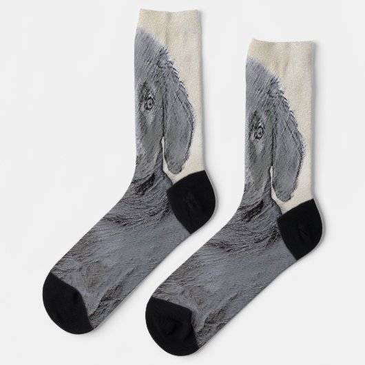 Flat-Coated Retriever Schilderij - Originele Honde Sokken (Links)