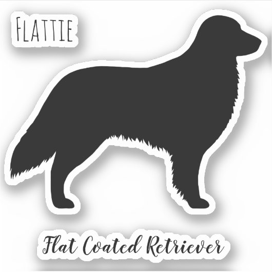 Flat Coated Retriever Silhouette Flattie Hond Sticker (Voorkant)