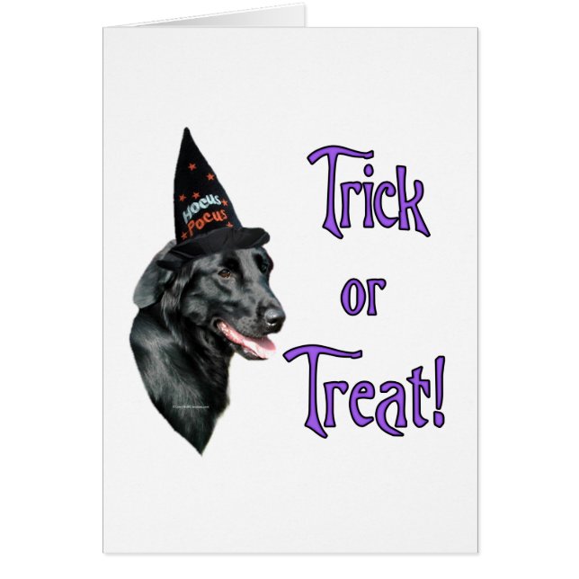 Flat-Coated Retriever Trick (Voorkant)
