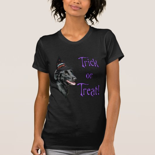 Flat-Coated Retriever Trick T-shirt (Voorkant)