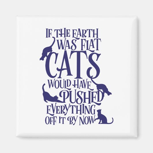 Flat Earth Cat Theory Grafische Grappige Dag van d Magneet (Voorkant)