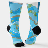 Flat Earth Map Socks - Unique Geographical Design Sokken (Gebogen)