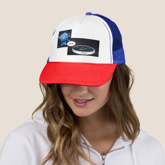 Flat Earth Today Pet Pet (In situ)